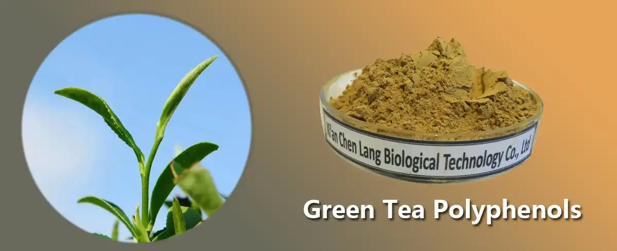 Green Tea Polyphenols Powder.jpg